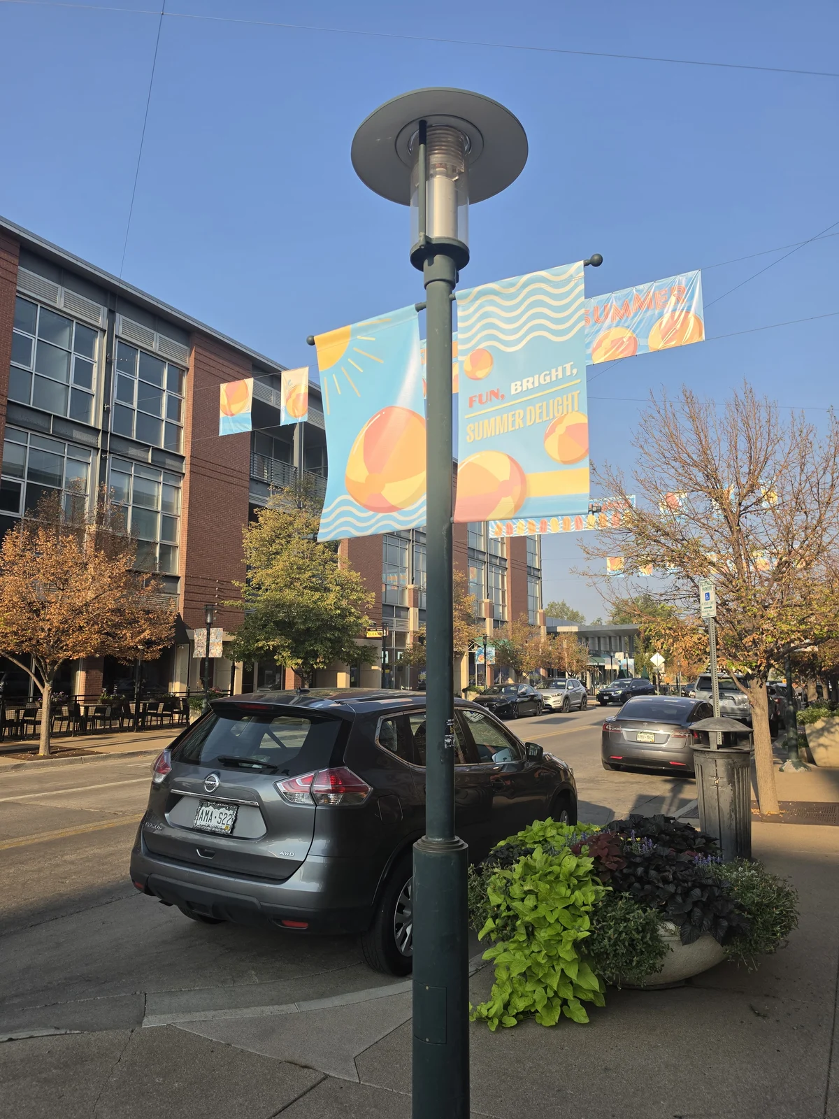 Pole banners seen along the street among parked cars and storefronts