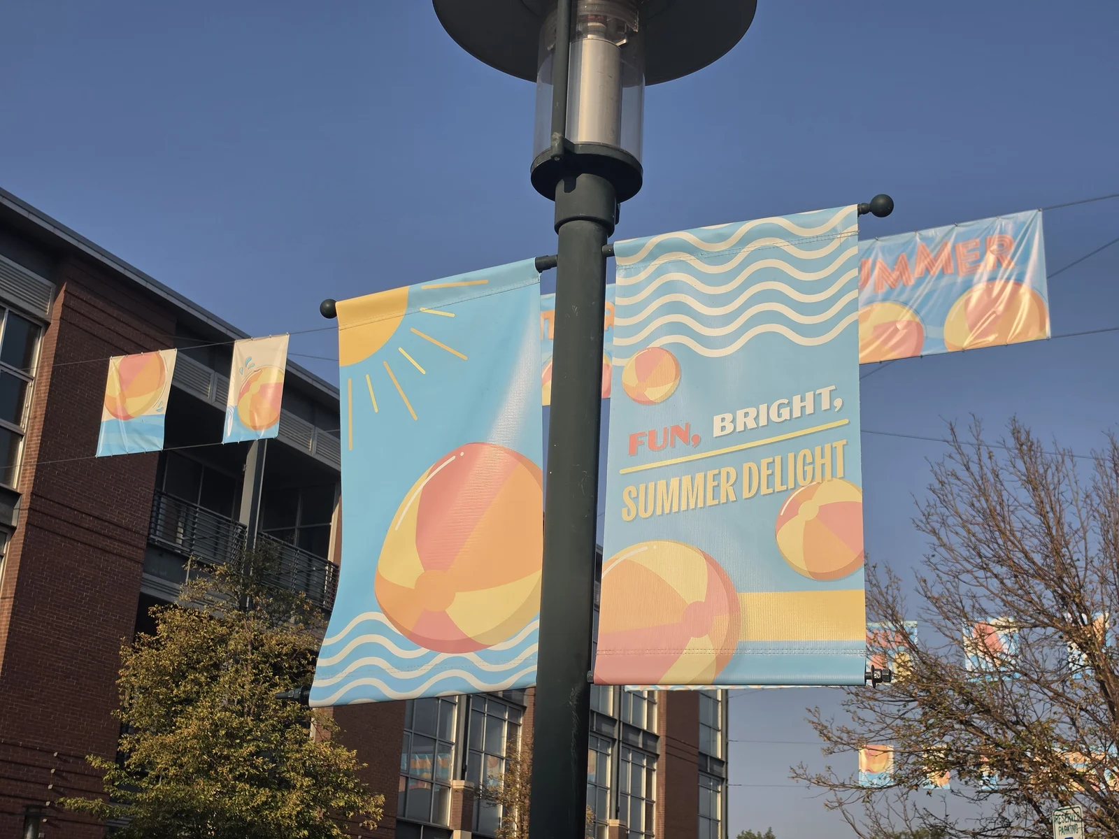 Beach ball pole banners reading Fun, Bright, Summer Delight