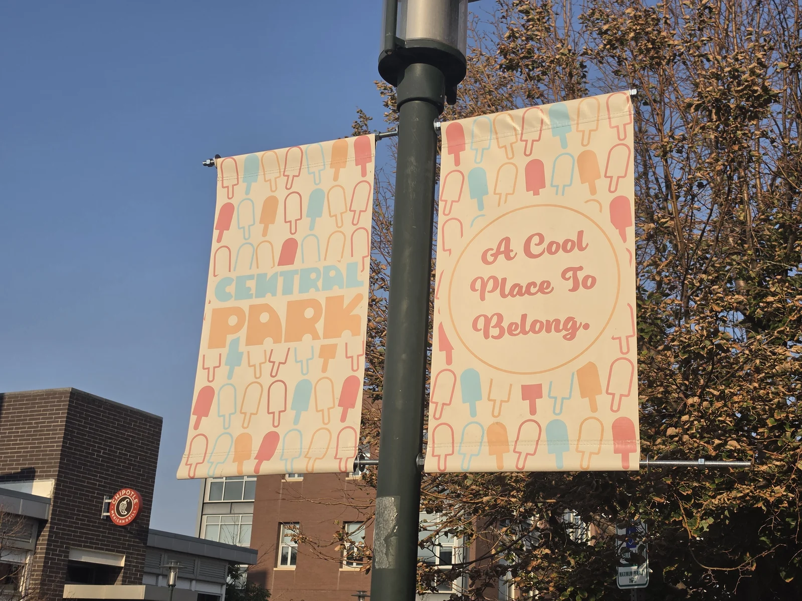 Popsicle-pattern pole banners reading Central Park and A Cool Place To Belong